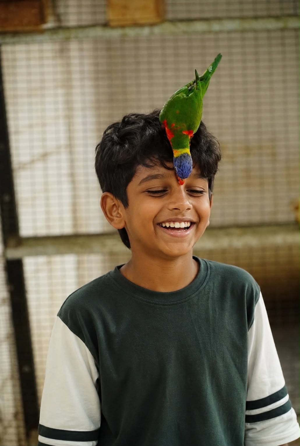 A smiling camper with a colourful bird perched on his head.